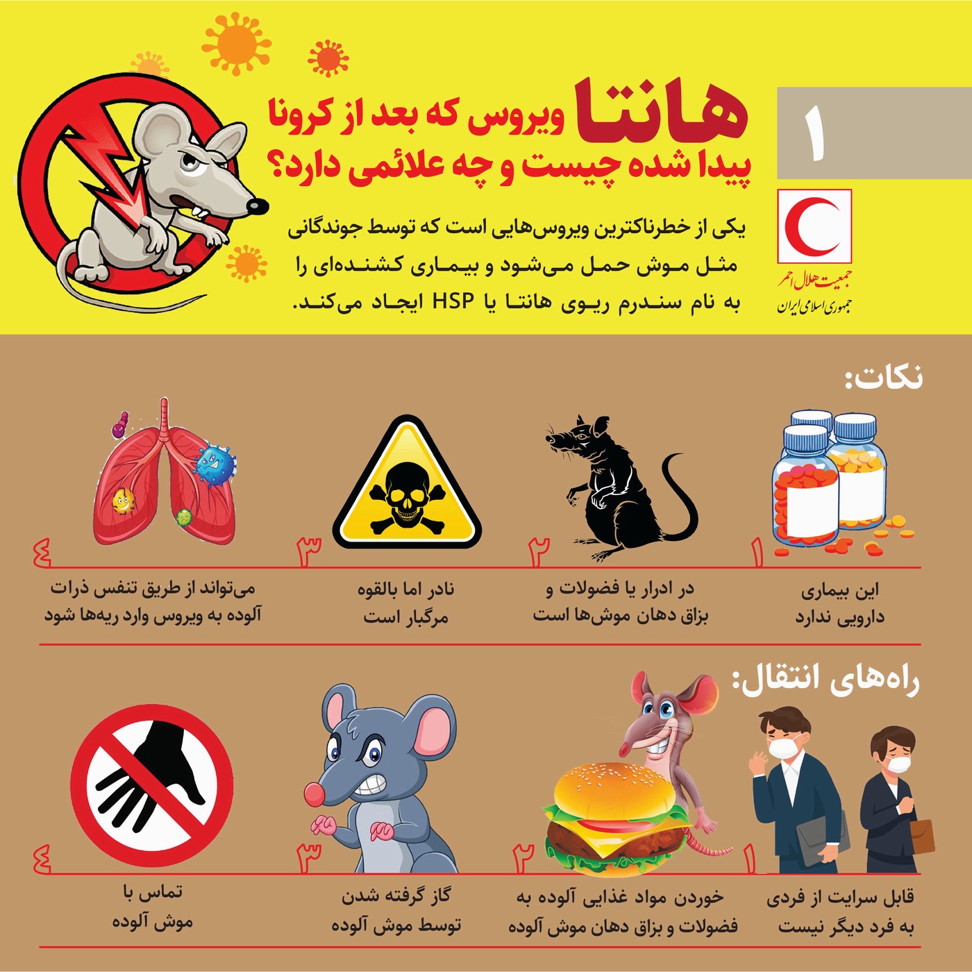 هانتاویروس که بعد از کرونا پیدا شده چیست و چه علائمی دارد؟/ این سه اینفوگرافیک را ببینید